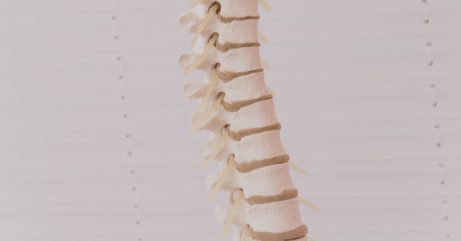 Chiropractic